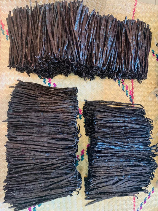 Vanille Madagascar 13/16 cm