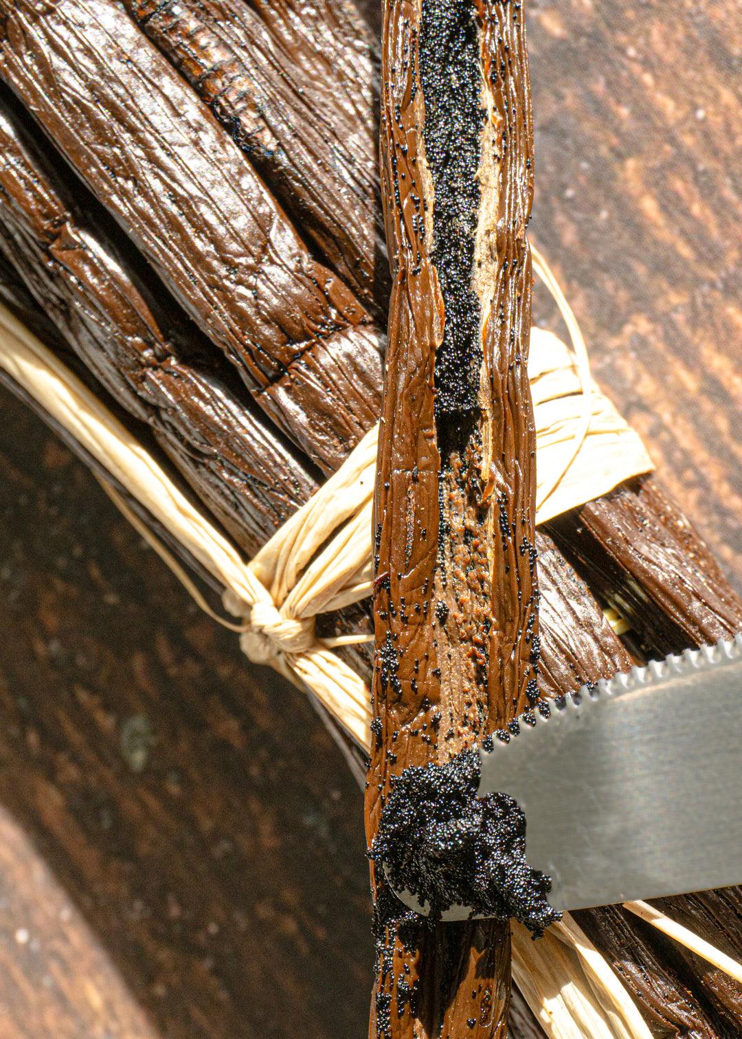 Vanille Gourmet Madagascar XL