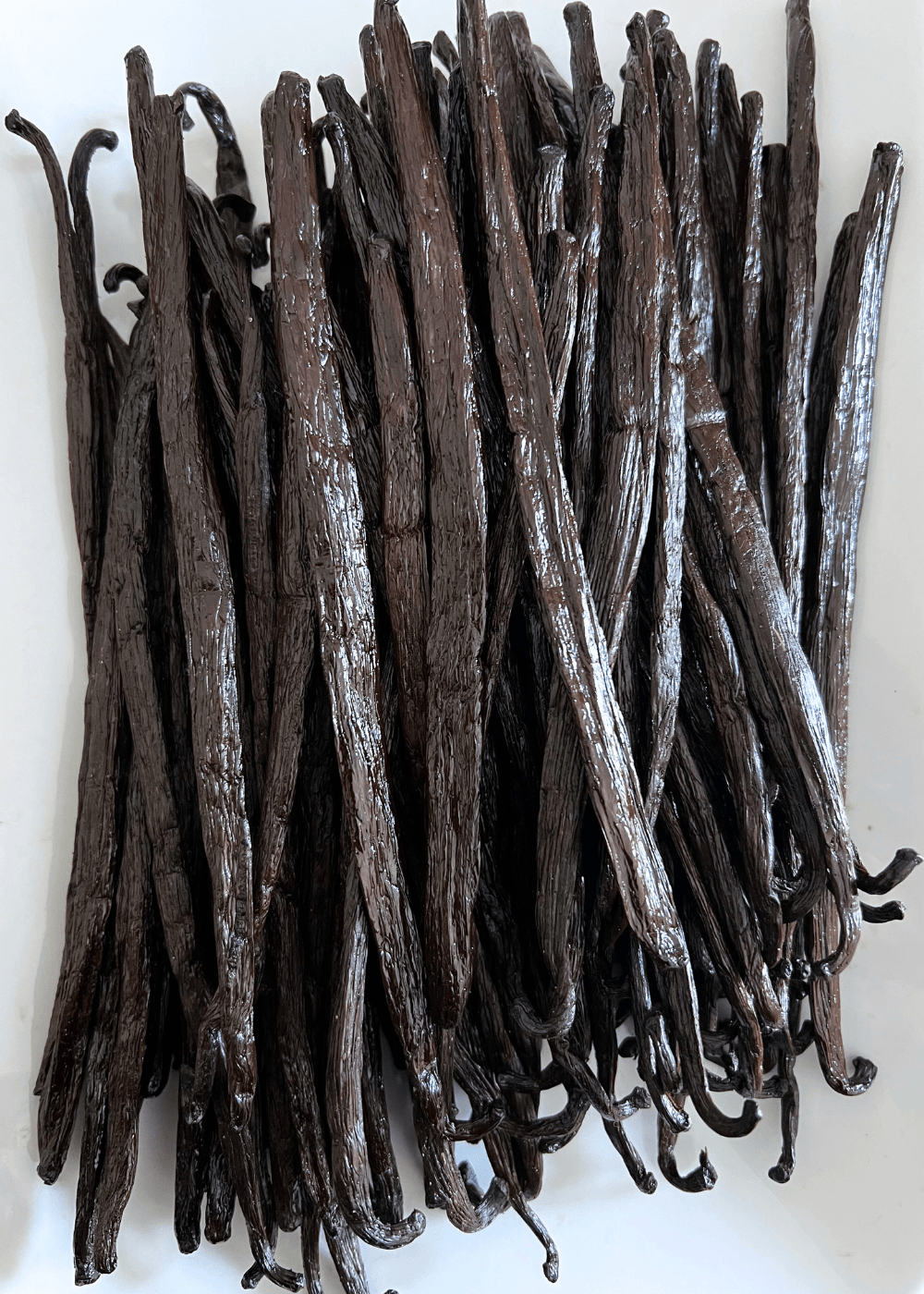 Vanille Gourmet Madagascar XL